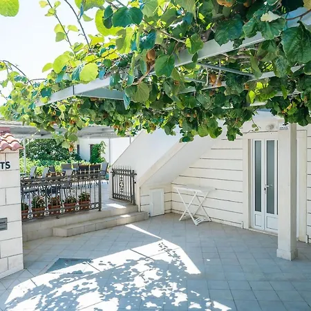 Marija Adriatic ムリニ